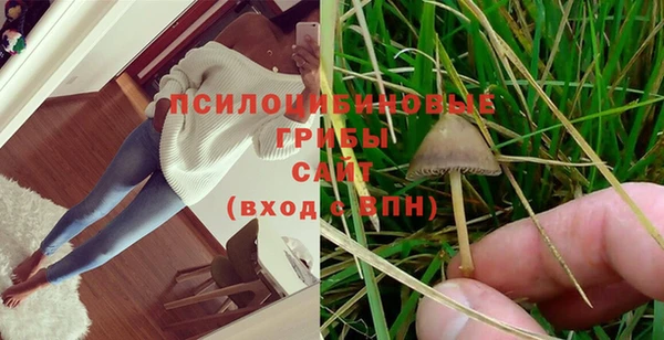 марки nbome Нефтегорск