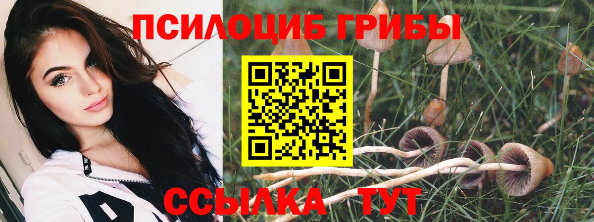 Галлюциногенные грибы Cubensis Югорск