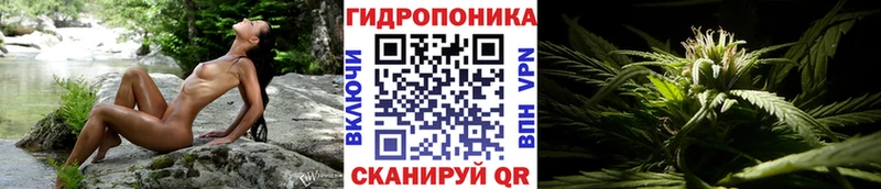 shop как зайти  Югорск  МАРИХУАНА SATIVA & INDICA 