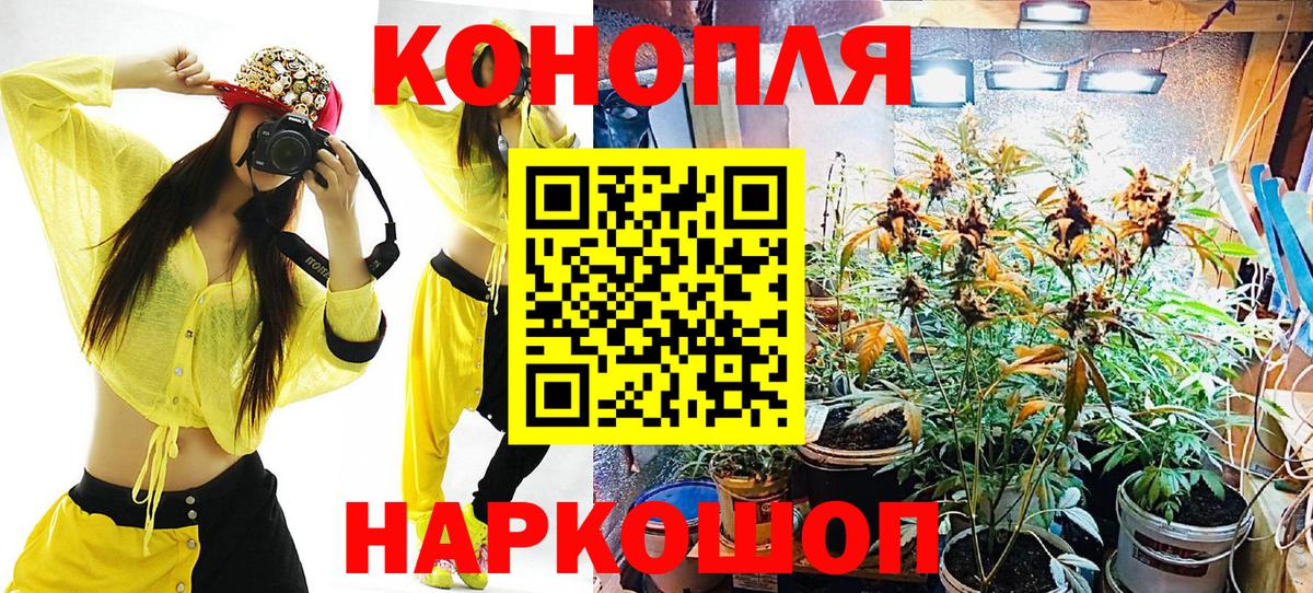 Конопля OG Kush Югорск